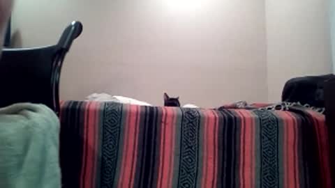 Jack online show from 04/11/26, 07:45