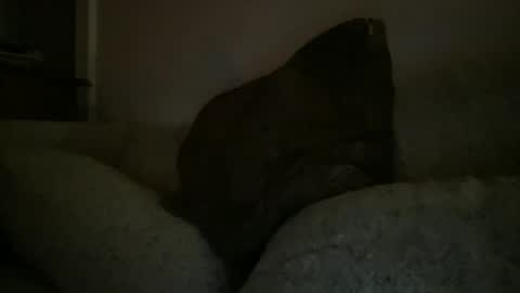 Snapshot of greenlova chatting on 12/25/24, 02:35 Sonny online show from 12/25/24, 02:35