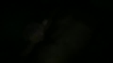 Snapshot of greenlova chatting on 10/11/25, 10:25 Sonny online show from 10/11/25, 10:25