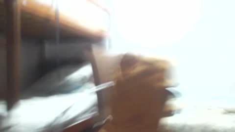 Snapshot of gregory_x chatting on 01/03/25, 03:38 Gregory max online show from 01/03/25, 03:38