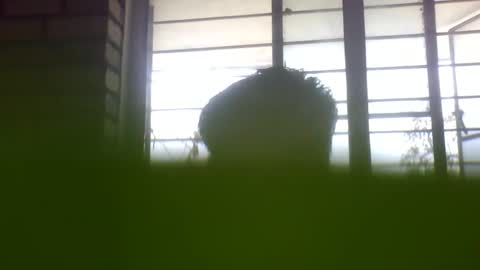 Snapshot of grey_stud chatting on 02/24/25, 05:22 Grey Stud online show from 02/24/25, 05:22