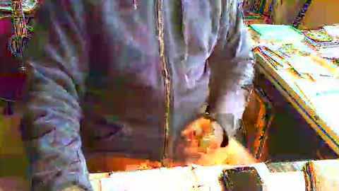 greyhounddog online show from 06/11/26, 08:34