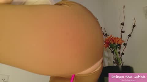 Snapshot of gringo_xxx_latina chatting on 11/20/25, 03:50 gringo_xxx_latina online show from 11/20/25, 03:50