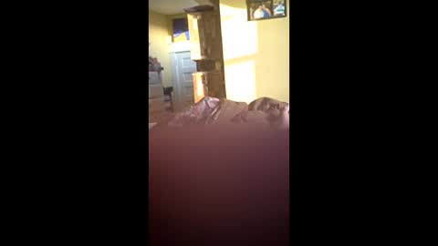 grizzely1975 online show from 11/24/25, 02:06