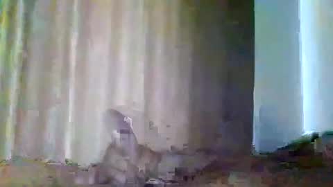 Snapshot of grupalenfection chatting on 02/07/25, 01:53 grupalenfection online show from 02/07/25, 01:53