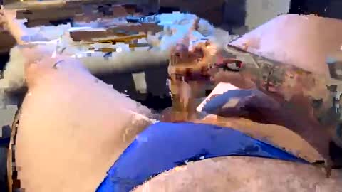 gt79802068 online show from 01/11/26, 06:07