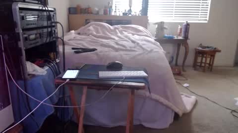 Mario online show from 02/15/26, 09:00