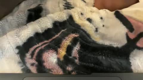 gumbywanna online show from 05/04/26, 06:31
