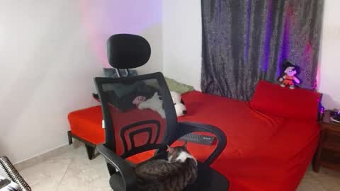 Guts online show from 11/25/25, 07:03