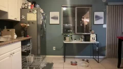 guyduder online show from 11/13/25, 02:54