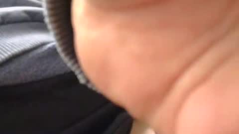 gydayu2 online show from 05/13/26, 12:52