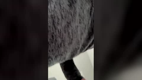 Ricko online show from 03/06/26, 05:53