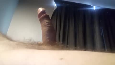 h_rd333 online show from 01/24/25, 09:05