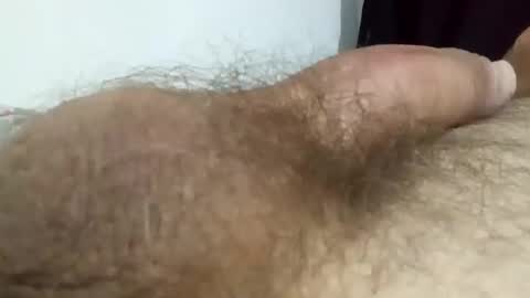 h_rd333 online show from 01/08/26, 10:23