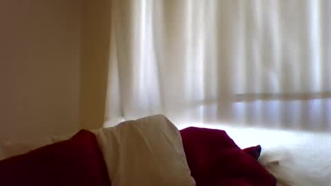 Hailey online show from 02/11/25, 07:38