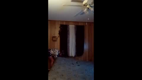 hailstorm32 online show from 02/24/26, 11:19