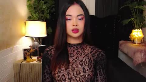 haily online show from 11/11/25, 02:33