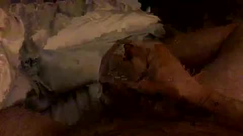 Snapshot of hairbear5 chatting on 02/04/26, 03:45 Bruce online show from 02/04/26, 03:45