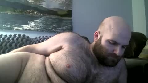 Snapshot of hairiestbear chatting on 01/12/25, 08:36 Hairiest Bear online show from 01/12/25, 08:36