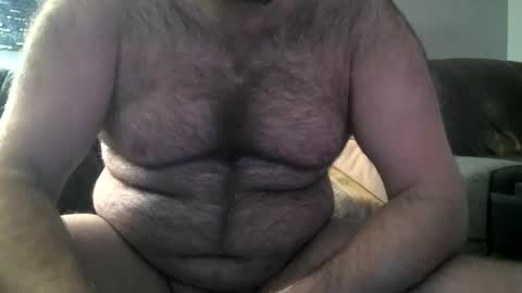 Snapshot of hairiestbear chatting on 02/08/25, 10:39 Hairiest Bear online show from 02/08/25, 10:39