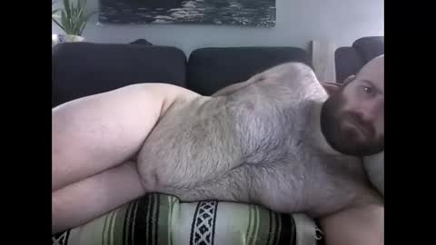 Hairiest Bear online show from 03/28/26, 08:36