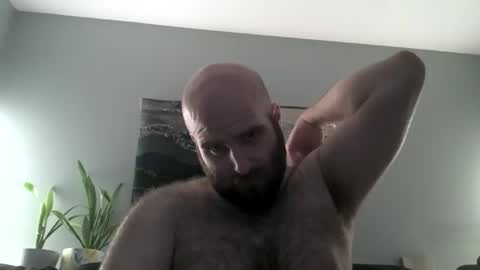Hairiest Bear online show from 04/01/26, 06:25