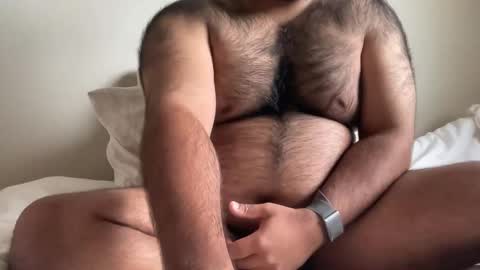 Snapshot of hairyaussie00 chatting on 02/17/25, 11:31 hairyaussie00 online show from 02/17/25, 11:31
