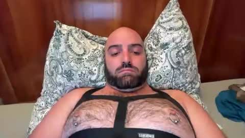 Snapshot of hairyleatherguy chatting on 08/03/26, 06:44 Hairy Guy online show from 08/03/26, 06:44