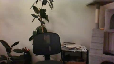 hairypussylover089 online show from 07/12/26, 04:36