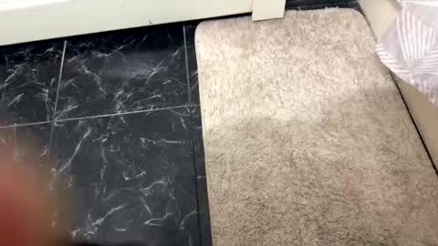 halebb online show from 10/20/25, 01:06