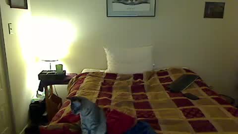 hammerthatthang73 online show from 11/04/25, 08:57