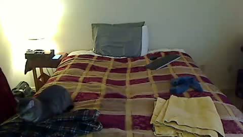 hammerthatthang73 online show from 03/24/26, 11:10