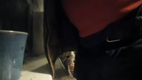 Snapshot of handncocknocum chatting on 12/08/24, 05:22 handncocknocum online show from 12/08/24, 05:22