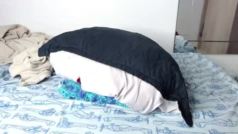 jorge daniel online show from 01/14/25, 01:06