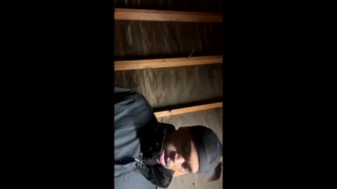 Snapshot of handsomeda1 chatting on 01/19/25, 06:31 handsomeda1 online show from 01/19/25, 06:31