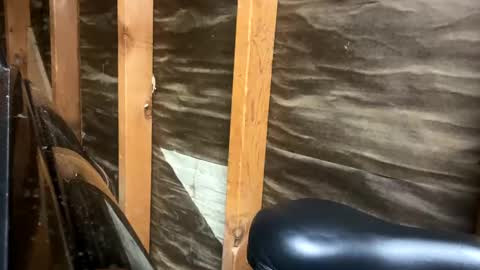 Snapshot of handsomeda1 chatting on 02/01/25, 02:47 handsomeda1 online show from 02/01/25, 02:47