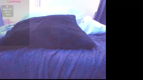 handyman732438 online show from 03/05/26, 11:28