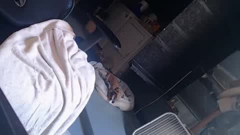 Snapshot of handystud33 chatting on 06/03/26, 04:01 handystud33 online show from 06/03/26, 04:01