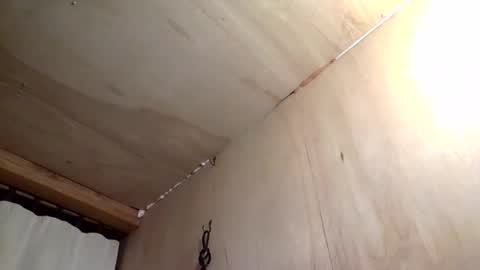 handywoody online show from 02/01/26, 11:36