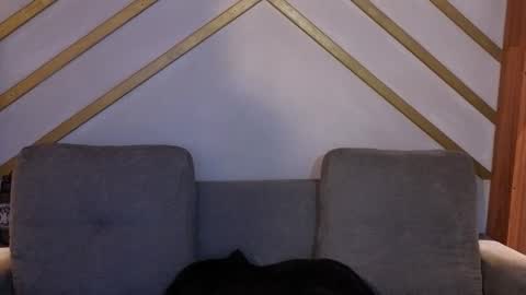 ANA online show from 11/22/25, 12:04