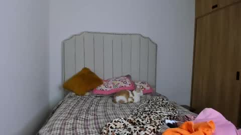 Hanna online show from 12/31/24, 03:31