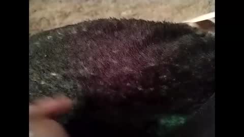 hardandhorny422 online show from 10/13/25, 05:24