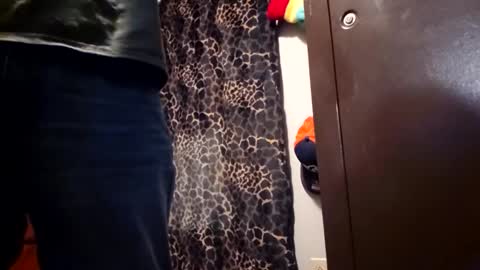 Funsize online show from 02/08/26, 02:59