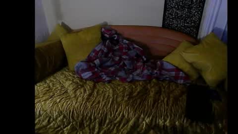 Snapshot of hardigan_dix chatting on 12/26/24, 02:22 hardigan online show from 12/26/24, 02:22