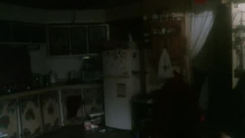 Snapshot of hardinhand44 chatting on 01/31/25, 03:09 john nobles online show from 01/31/25, 03:09