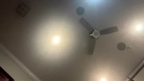 Snapshot of harleywestxox chatting on 05/20/26, 08:42 Harleywest 638 online show from 05/20/26, 08:42