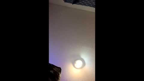 Snapshot of harleywoods7878 chatting on 03/09/26, 06:50 harleywoods7878 online show from 03/09/26, 06:50