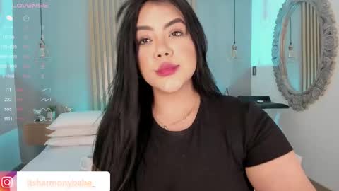 Snapshot of harmonybabe_ chatting on 03/09/25, 08:42 Harmony online show from 03/09/25, 08:42