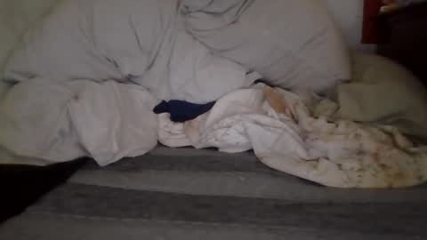 Snapshot of harry1cannary chatting on 10/07/25, 08:22 harry1cannary online show from 10/07/25, 08:22