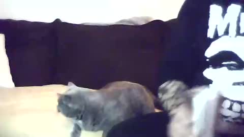 Snapshot of harry765765765 chatting on 11/01/25, 01:18 The Finesser online show from 11/01/25, 01:18